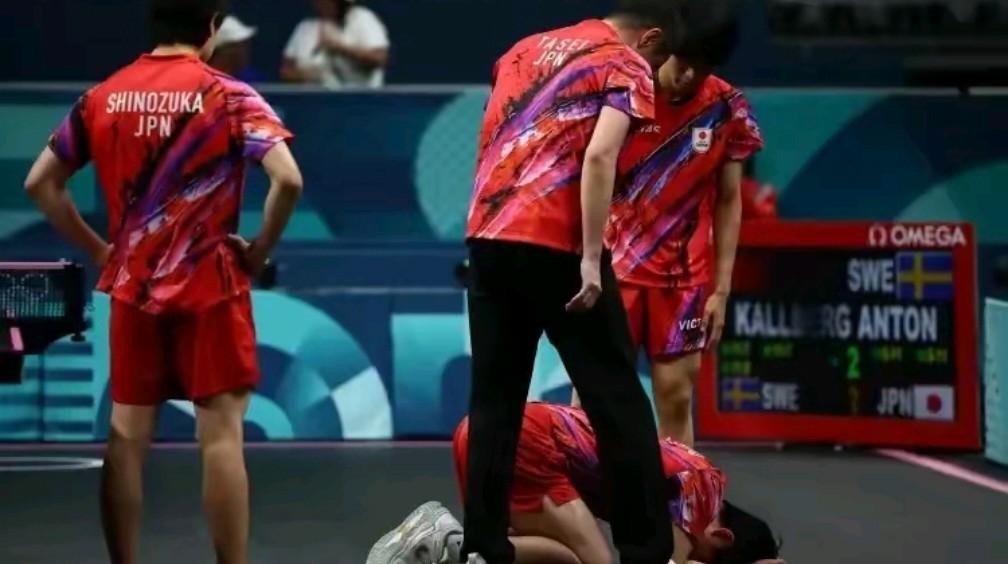 关于瑞典队绝杀韩国队,张本智和扛起全队的信息 关于瑞典队绝杀韩国队,张本智和扛起全队的信息